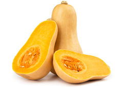 bulk butternut squash puree suppliers