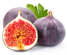 bulk fig paste suppliers