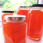 grapefruit juice concentrate