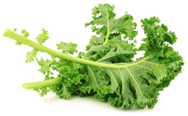 bulk kale puree suppliers