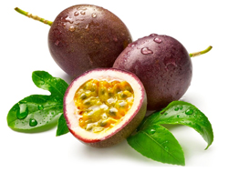 bulk passion fruit juice concentrate suppliers