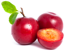 bulk nfc plum juice suppliers