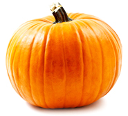 bulk pumpkin puree suppliers