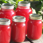 rhubarb juice concentrate