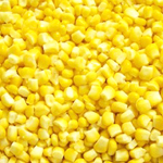 iqf frozen corn